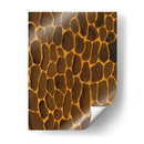 De Los Patrones Salvajes I - Regina Moore | Cuadro decorativo de Canvas Lab