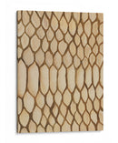 De Los Patrones Salvajes Ii - Regina Moore | Cuadro decorativo de Canvas Lab