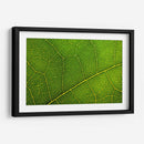 20 - Andrés Blásquez | Cuadro decorativo de Canvas Lab