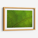 20 - Andrés Blásquez | Cuadro decorativo de Canvas Lab