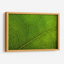 20 - Andrés Blásquez | Cuadro decorativo de Canvas Lab