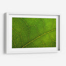 20 - Andrés Blásquez | Cuadro decorativo de Canvas Lab