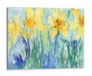 Daffodil Blooms Ii - Samuel Dixon | Cuadro decorativo de Canvas Lab