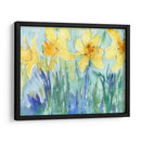 Daffodil Blooms Ii - Samuel Dixon | Cuadro decorativo de Canvas Lab