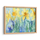 Daffodil Blooms Ii - Samuel Dixon | Cuadro decorativo de Canvas Lab