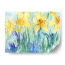 Daffodil Blooms Ii - Samuel Dixon | Cuadro decorativo de Canvas Lab