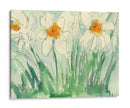 Narcisos Naranja Y Blanco I - Samuel Dixon | Cuadro decorativo de Canvas Lab