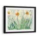 Narcisos Naranja Y Blanco I - Samuel Dixon | Cuadro decorativo de Canvas Lab