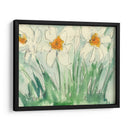 Narcisos Naranja Y Blanco I - Samuel Dixon | Cuadro decorativo de Canvas Lab