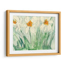 Narcisos Naranja Y Blanco I - Samuel Dixon | Cuadro decorativo de Canvas Lab