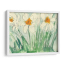 Narcisos Naranja Y Blanco I - Samuel Dixon | Cuadro decorativo de Canvas Lab