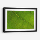 21 - Andrés Blásquez | Cuadro decorativo de Canvas Lab