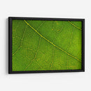 21 - Andrés Blásquez | Cuadro decorativo de Canvas Lab