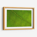 21 - Andrés Blásquez | Cuadro decorativo de Canvas Lab