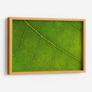 21 - Andrés Blásquez | Cuadro decorativo de Canvas Lab