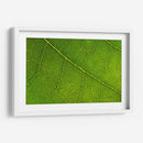 21 - Andrés Blásquez | Cuadro decorativo de Canvas Lab