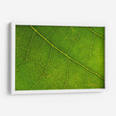 21 - Andrés Blásquez | Cuadro decorativo de Canvas Lab