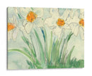 Narcisos Naranja Y Blanco Ii - Samuel Dixon | Cuadro decorativo de Canvas Lab
