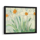 Narcisos Naranja Y Blanco Ii - Samuel Dixon | Cuadro decorativo de Canvas Lab
