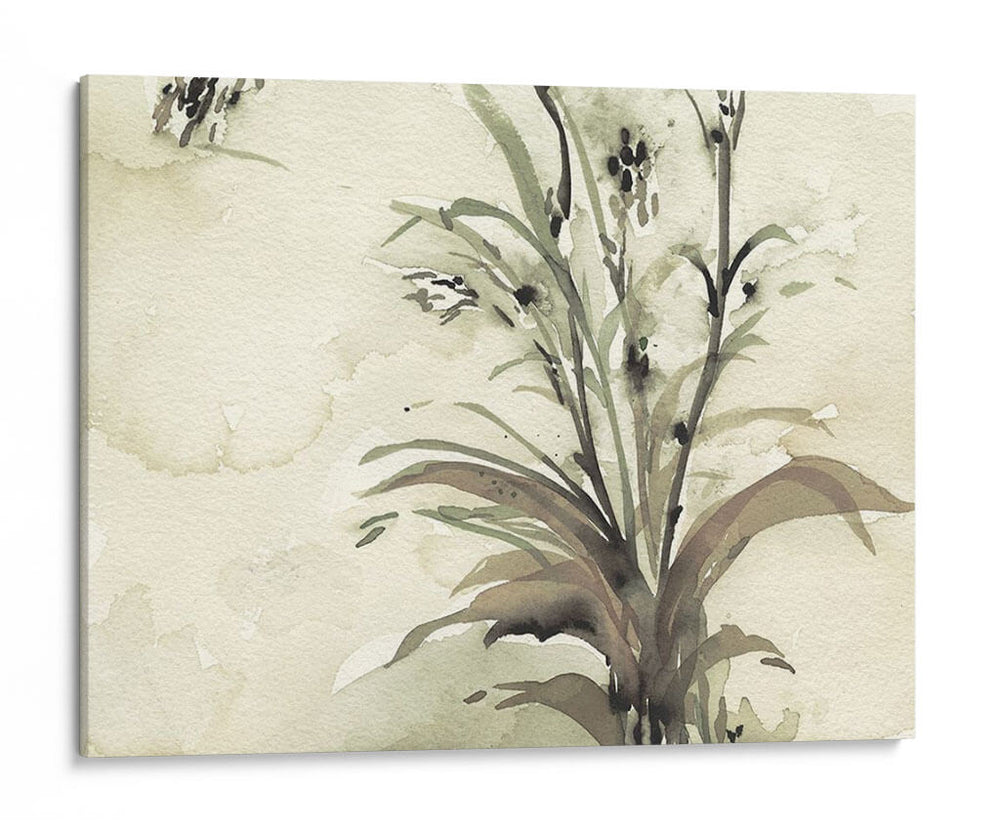Planta De La Edad I - Samuel Dixon | Cuadro decorativo de Canvas Lab
