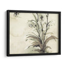 Planta De La Edad I - Samuel Dixon | Cuadro decorativo de Canvas Lab