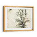 Planta De La Edad I - Samuel Dixon | Cuadro decorativo de Canvas Lab