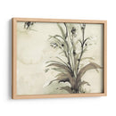 Planta De La Edad I - Samuel Dixon | Cuadro decorativo de Canvas Lab