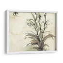 Planta De La Edad I - Samuel Dixon | Cuadro decorativo de Canvas Lab