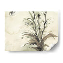 Planta De La Edad I - Samuel Dixon | Cuadro decorativo de Canvas Lab