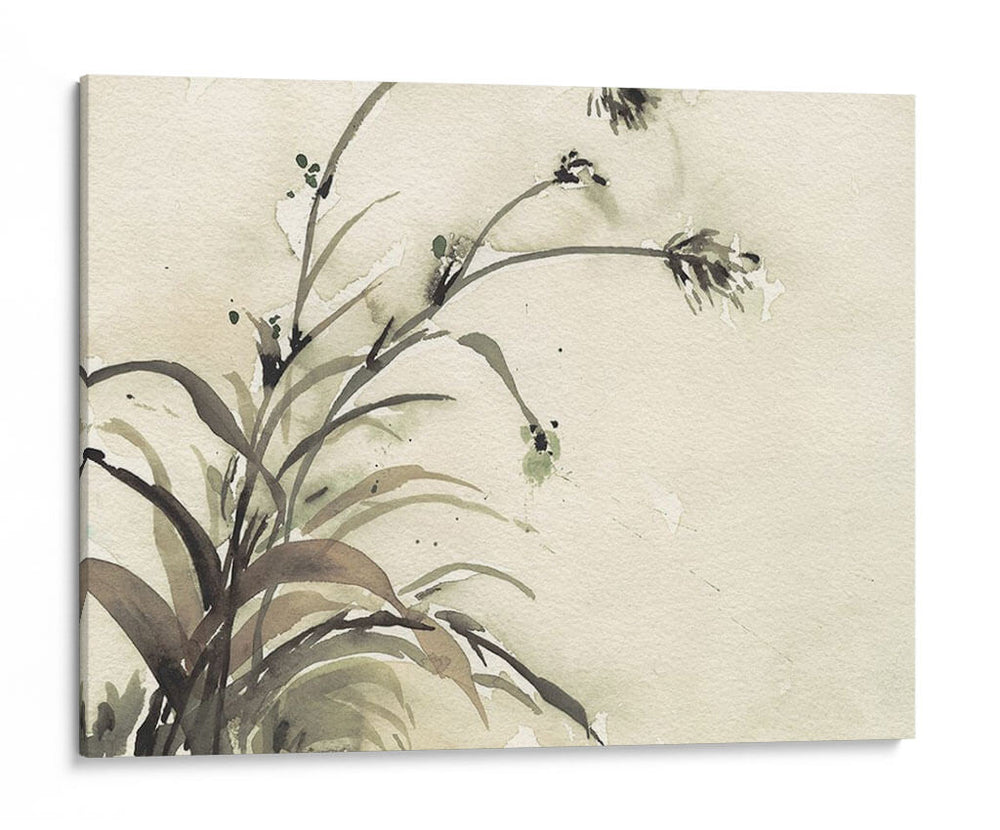 Planta De La Edad Ii - Samuel Dixon | Cuadro decorativo de Canvas Lab