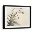 Planta De La Edad Ii - Samuel Dixon | Cuadro decorativo de Canvas Lab