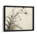 Planta De La Edad Ii - Samuel Dixon | Cuadro decorativo de Canvas Lab