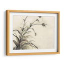 Planta De La Edad Ii - Samuel Dixon | Cuadro decorativo de Canvas Lab