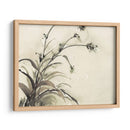 Planta De La Edad Ii - Samuel Dixon | Cuadro decorativo de Canvas Lab