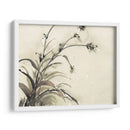 Planta De La Edad Ii - Samuel Dixon | Cuadro decorativo de Canvas Lab