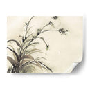 Planta De La Edad Ii - Samuel Dixon | Cuadro decorativo de Canvas Lab