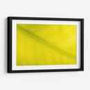 22 - Andrés Blásquez | Cuadro decorativo de Canvas Lab