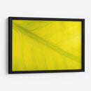 22 - Andrés Blásquez | Cuadro decorativo de Canvas Lab