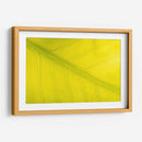 22 - Andrés Blásquez | Cuadro decorativo de Canvas Lab