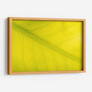 22 - Andrés Blásquez | Cuadro decorativo de Canvas Lab