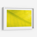 22 - Andrés Blásquez | Cuadro decorativo de Canvas Lab