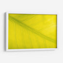 22 - Andrés Blásquez | Cuadro decorativo de Canvas Lab