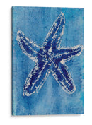 Conchas Cerúreas Iii - Regina Moore | Cuadro decorativo de Canvas Lab