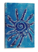 Conchas Cerúas V - Regina Moore | Cuadro decorativo de Canvas Lab