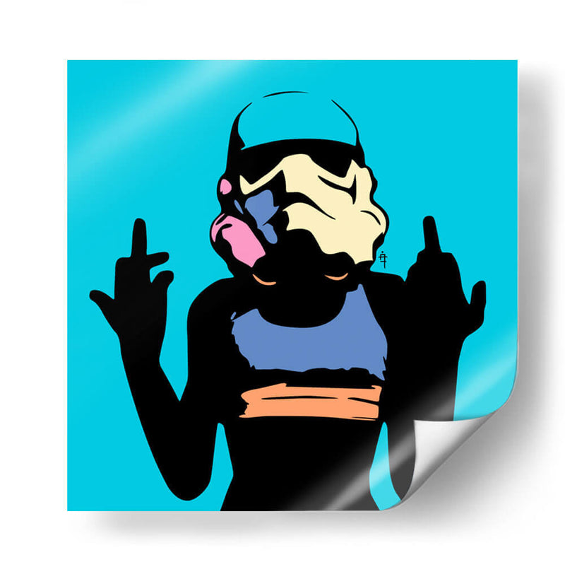 StormChick B - David Aste | Cuadro decorativo de Canvas Lab