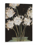 Dandy Leones I - Samuel Dixon | Cuadro decorativo de Canvas Lab