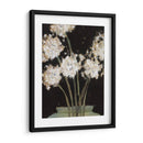 Dandy Leones I - Samuel Dixon | Cuadro decorativo de Canvas Lab