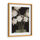 Dandy Leones I - Samuel Dixon | Cuadro decorativo de Canvas Lab