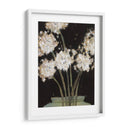 Dandy Leones I - Samuel Dixon | Cuadro decorativo de Canvas Lab