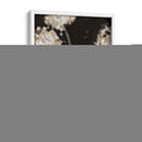 Dandy Leones I - Samuel Dixon | Cuadro decorativo de Canvas Lab